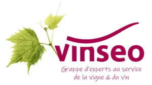 Vinseo